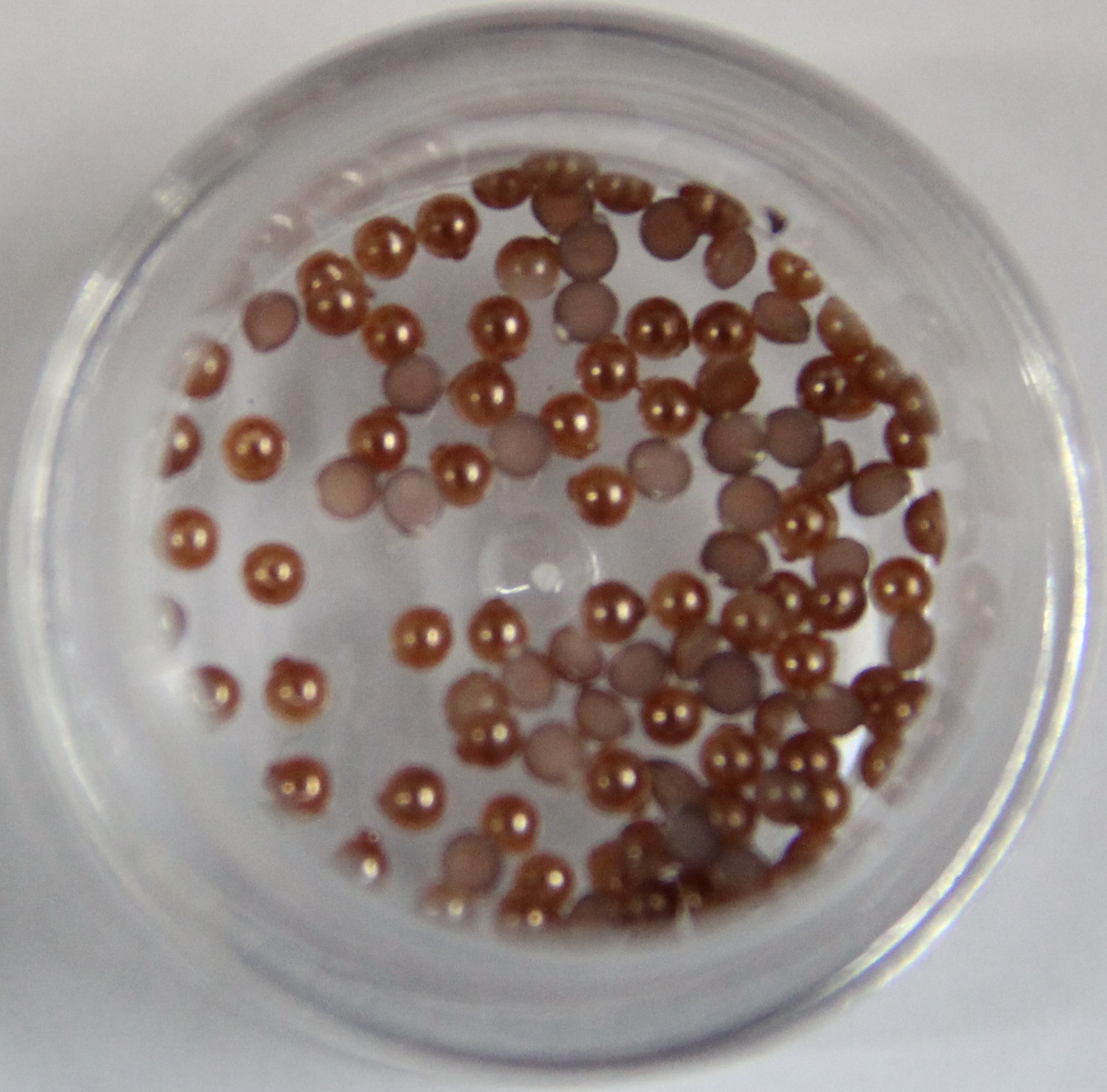 ΔΙΑΚΟΣΜΗΤΙΚΕΣ ΠΕΡΛΕΣ ΝΥΧΙΩΝ/  PEARLS FOR NAILS  EF -ΟΜΑΔΑ 15