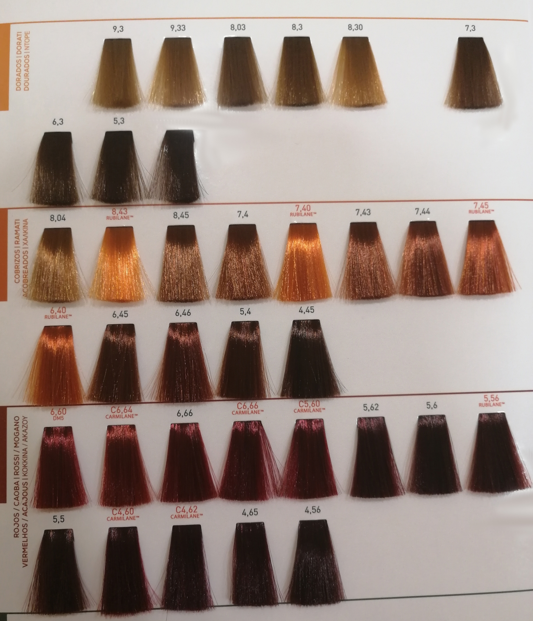  MAJIREL ABSOLU MAJI BLOND 50ml LOREAL E Shop