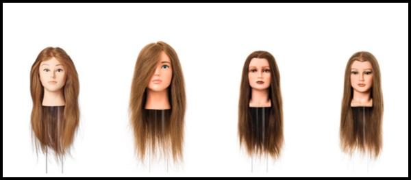 Εκπαιδευτικές Κεφαλές